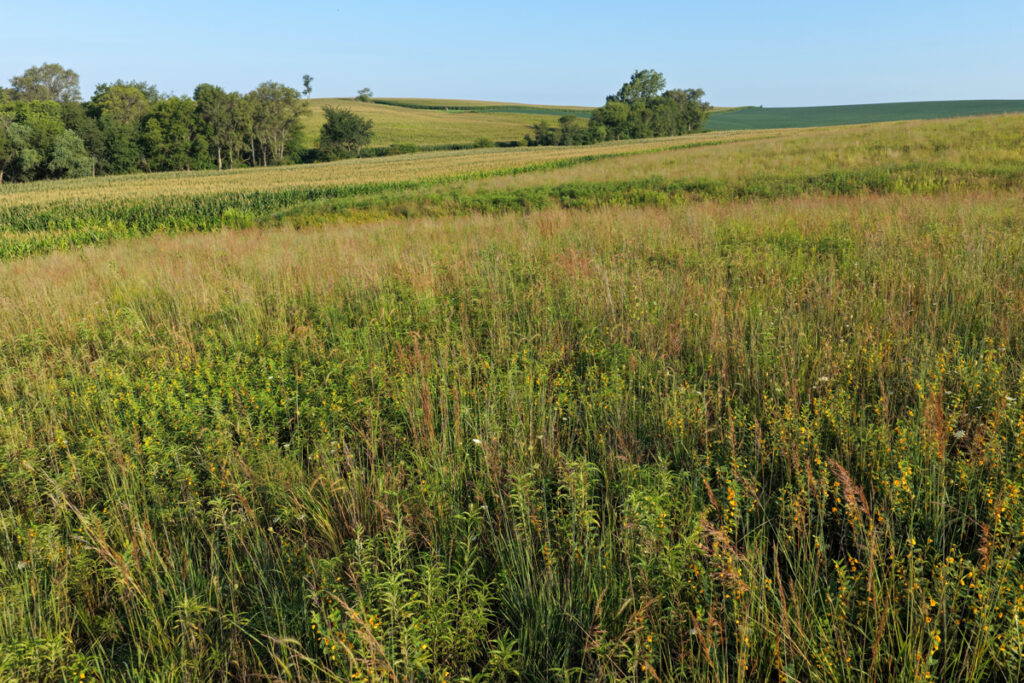b02354a0-0aa7-4d32-9054-fa87196d8e28.jpg