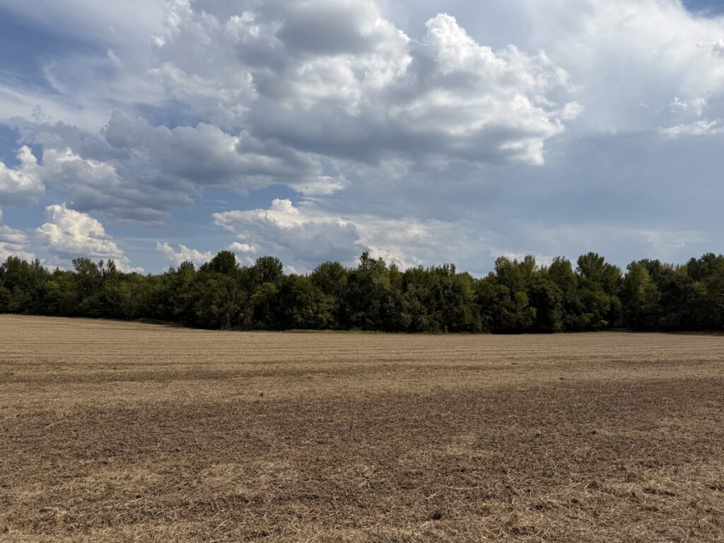 b06eac1e-357e-4725-8813-7c69e76015a4.jpg
