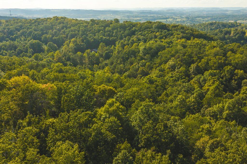 Property photo for land for sale in Greene County Tennessee