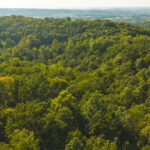Property photo for land for sale in Greene County Tennessee