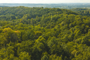 Property photo for land for sale in Greene County Tennessee