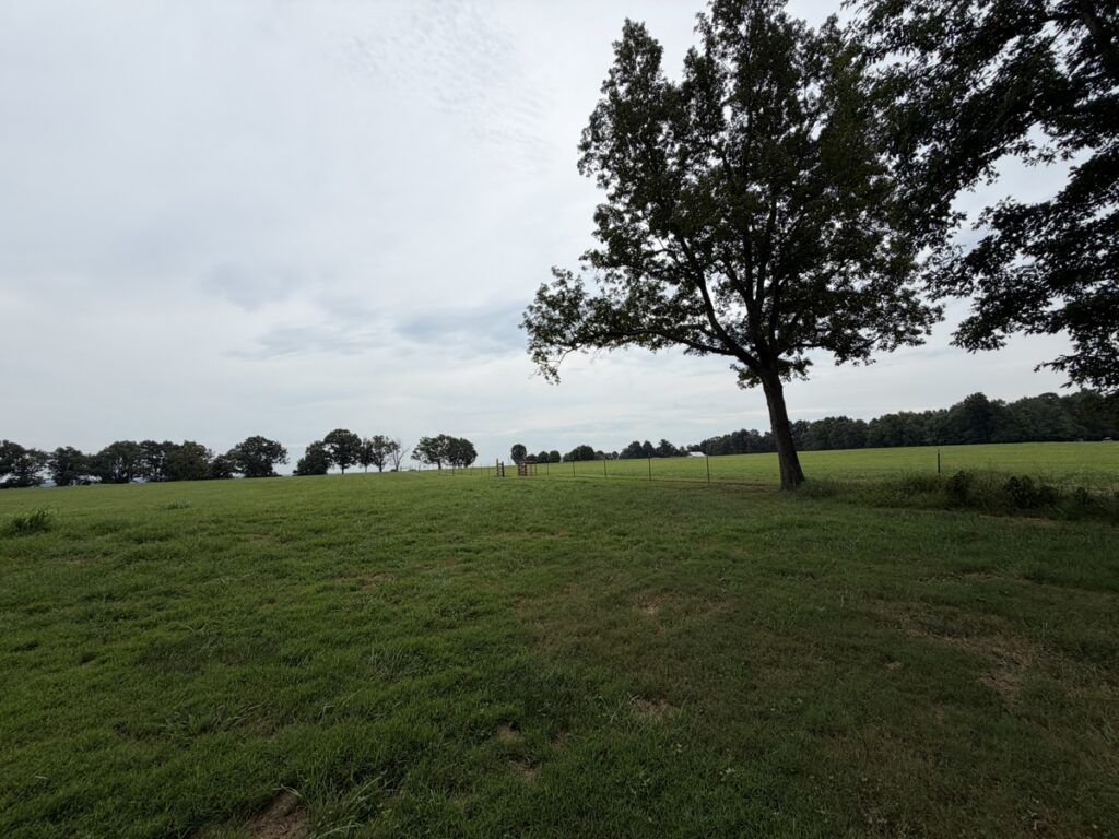 b1d37576-b6f1-4734-b35d-716a754c534f.jpg