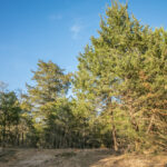 Property photo for land for sale in Austin County Texas