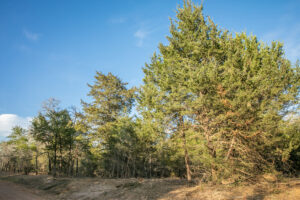 Property photo for land for sale in Austin County Texas