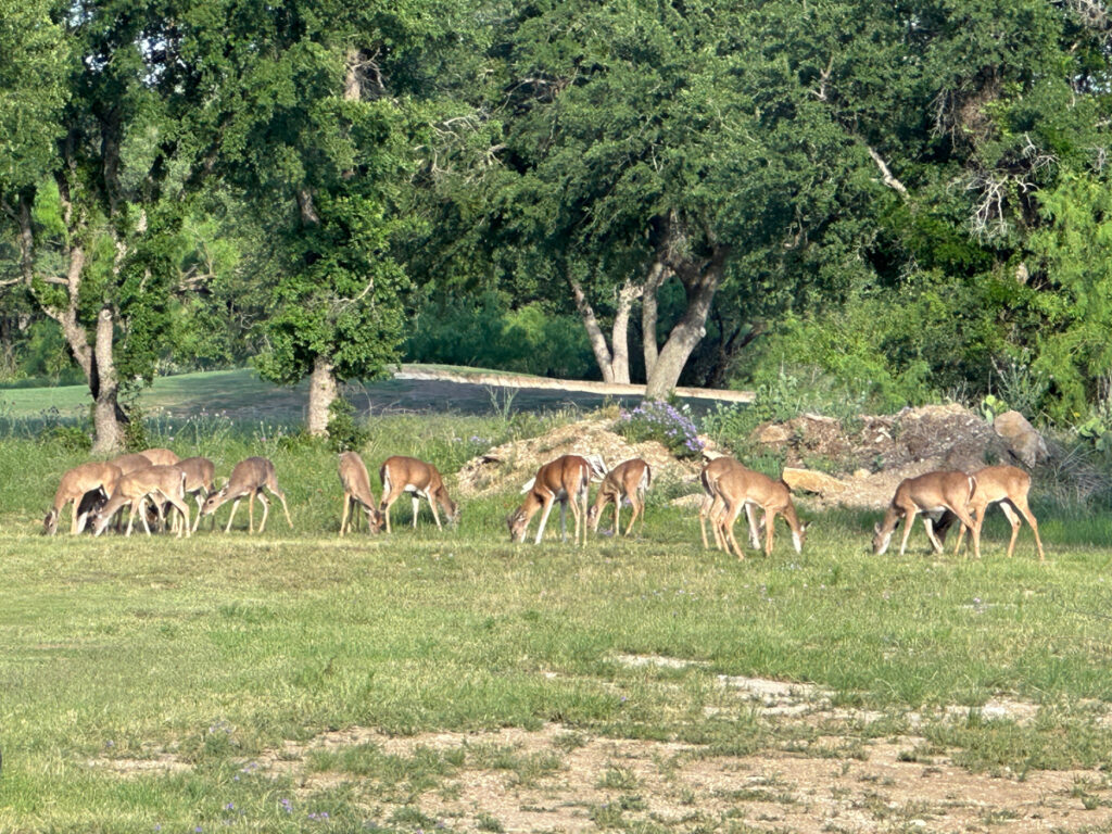 b4a9e818-74a7-43d5-ac3c-393d237c8a3c.jpg