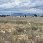 Property photo for land for sale in Torrance County New Mexico