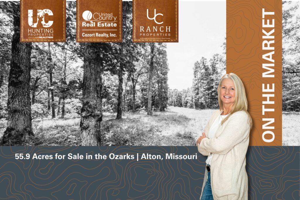 Property photo for land for sale in Oregon County Missouri