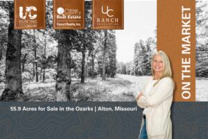 Property photo for land for sale in Oregon County Missouri