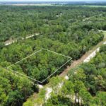 Property photo for land for sale in Levy County Florida