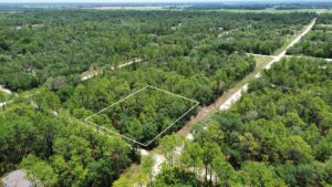 Property photo for land for sale in Levy County Florida