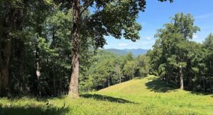 Property photo for land for sale in Yancey County North Carolina