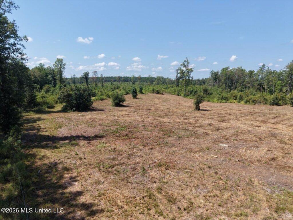 Property photo for land for sale in Washington County Louisiana