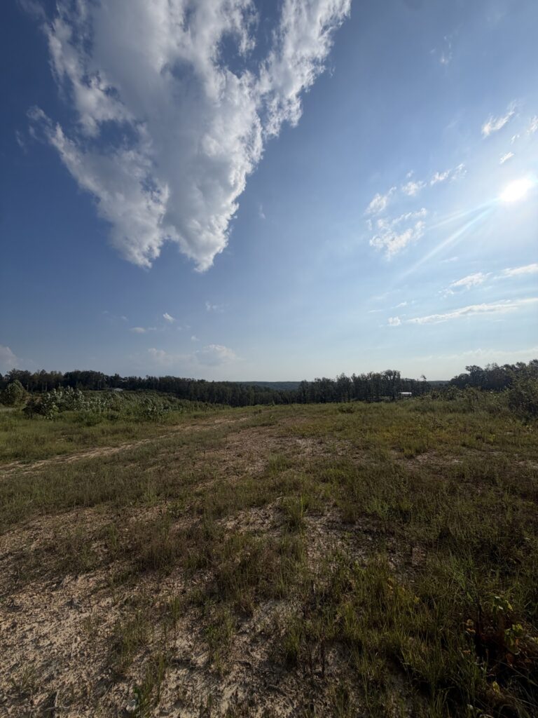 b98630ea-9fe4-4cf9-b54b-d8e0c6757f93.jpg