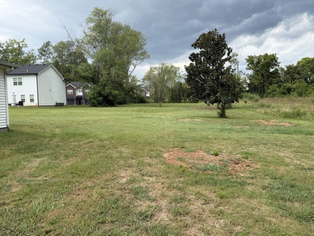 ba0cc1b6-ae53-470f-8d1d-fcc0bebdcc04.jpg