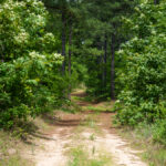 Property photo for land for sale in Van Zandt County Texas