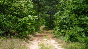 Property photo for land for sale in Van Zandt County Texas