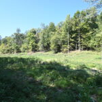 Property photo for land for sale in Perry County Tennessee