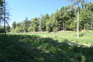 Property photo for land for sale in Perry County Tennessee