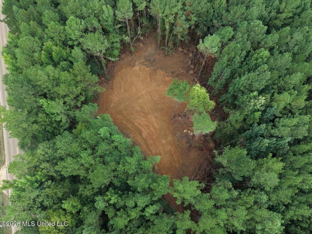 Property photo for land for sale in Wilkinson County Mississippi
