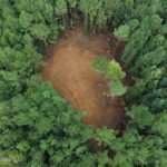 Property photo for land for sale in Wilkinson County Mississippi