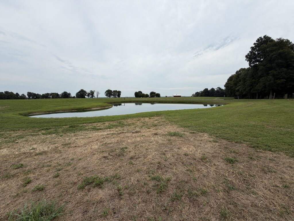 bc37a72d-c5be-47d7-8005-2a0850e2a70f.jpg