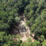 Property photo for land for sale in Franklin County Mississippi