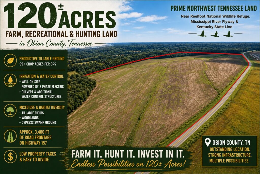 Property photo for land for sale in Obion County Tennessee