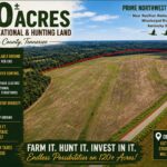 Property photo for land for sale in Obion County Tennessee