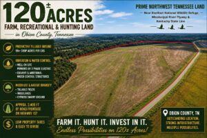 Property photo for land for sale in Obion County Tennessee