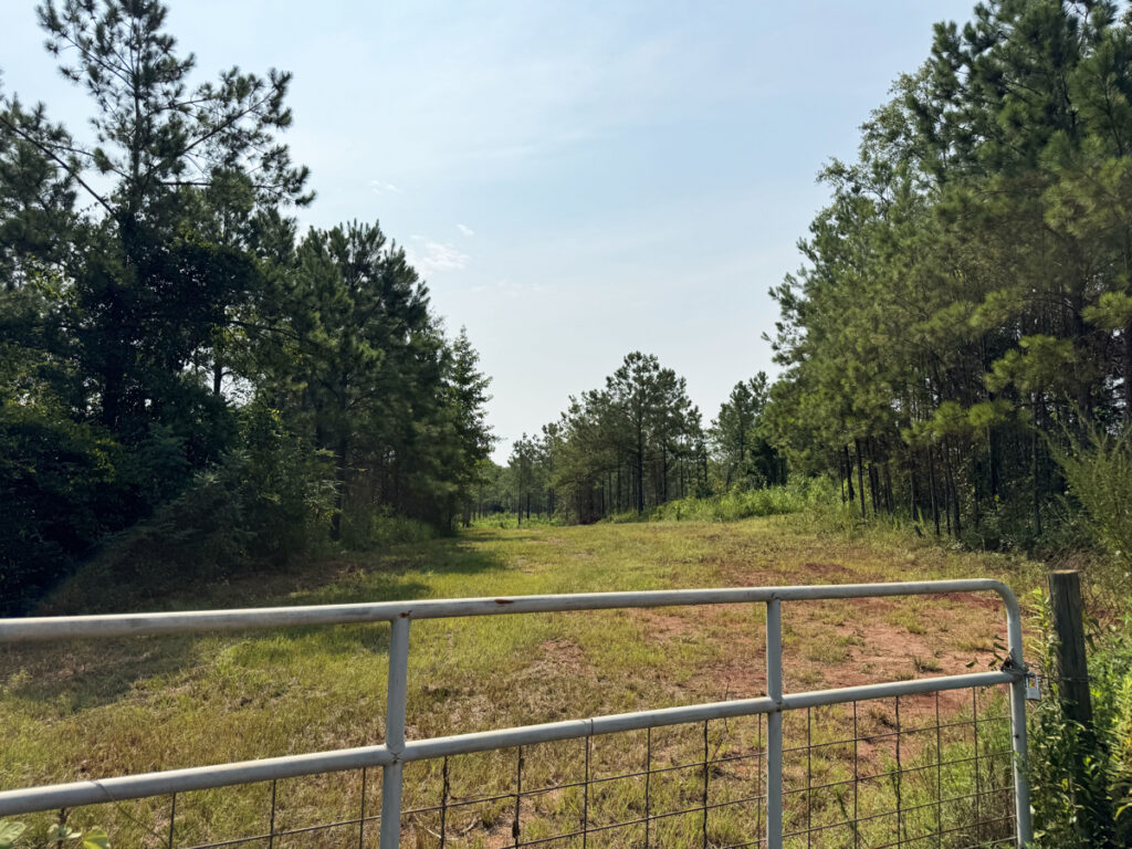 Property photo for land for sale in Stewart County Georgia