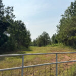 Property photo for land for sale in Stewart County Georgia