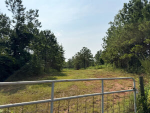 Property photo for land for sale in Stewart County Georgia
