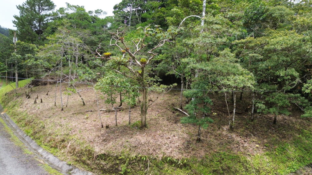 c0d37ec2-cc49-4f01-b77a-155ef506ede8.jpg
