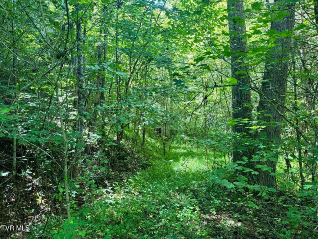 c1d93333-0179-4107-895d-7aabf0d92695.jpg
