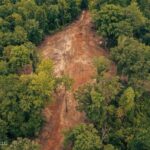 Property photo for land for sale in Franklin County Mississippi