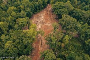 Property photo for land for sale in Franklin County Mississippi