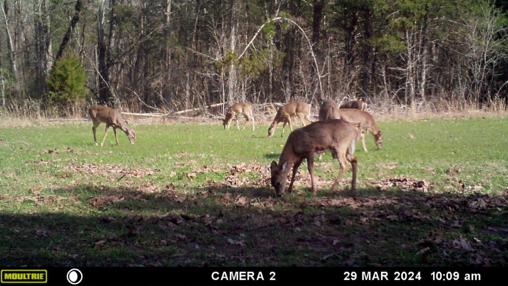 Property photo for land for sale in Warren County Missouri
