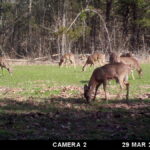 Property photo for land for sale in Warren County Missouri