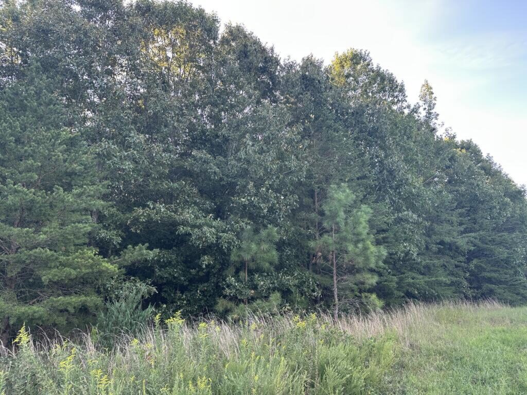 c2c8d0a7-8d36-4613-b9e1-d28ee63b8856.jpg