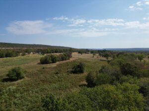 Property photo for land for sale in Pushmataha County Oklahoma