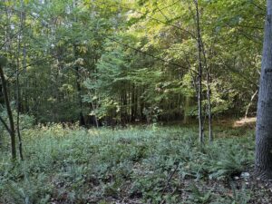 Property photo for land for sale in Scott County Virginia