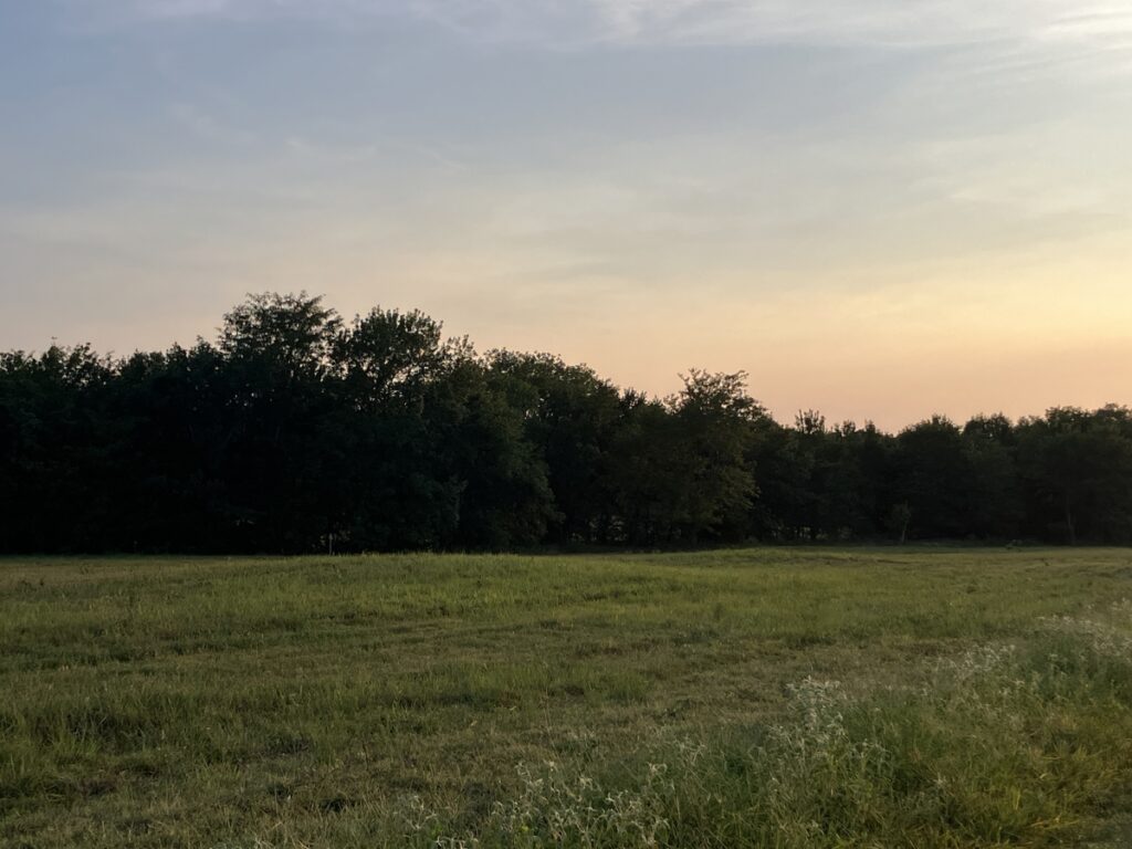 c5f3d0ad-392f-4d87-942c-8eabac029c64.jpg