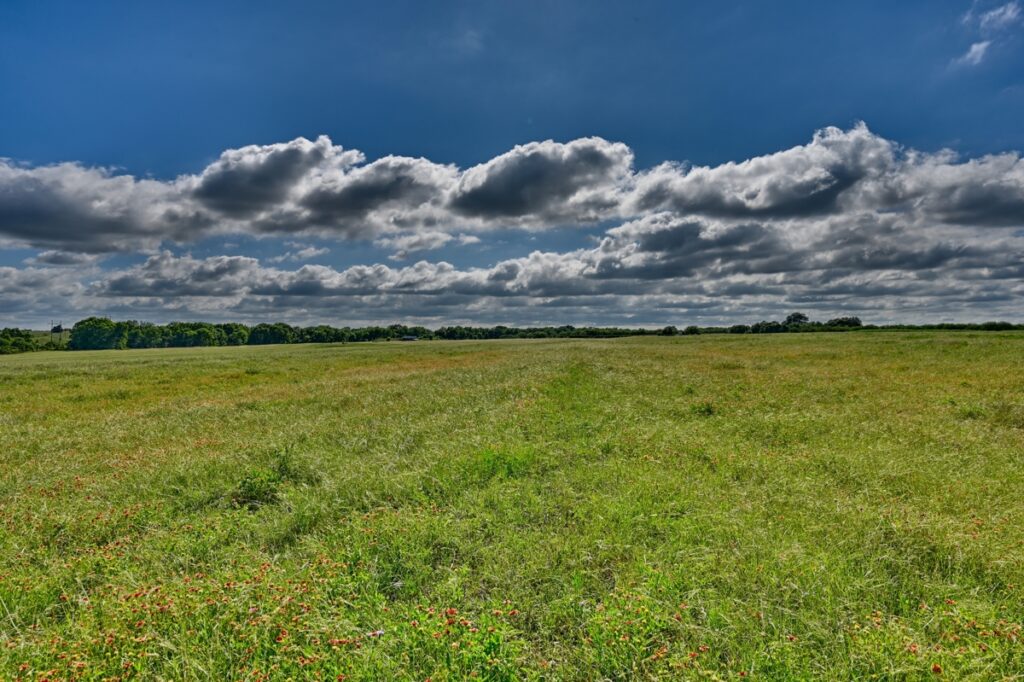 c80d869c-d563-4bca-947c-c0ceae252dde.jpg