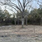 Property photo for land for sale in Cass County Texas