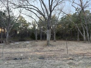Property photo for land for sale in Cass County Texas