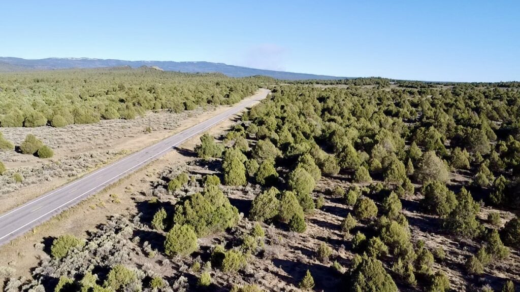 Property photo for land for sale in Rio Arriba County New Mexico