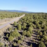 Property photo for land for sale in Rio Arriba County New Mexico