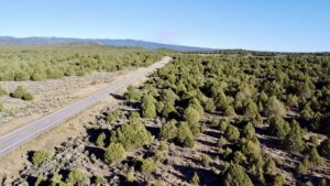 Property photo for land for sale in Rio Arriba County New Mexico