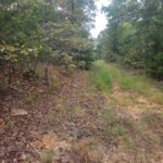 Property photo for land for sale in Searcy County Arkansas