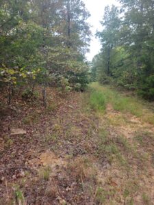 Property photo for land for sale in Searcy County Arkansas